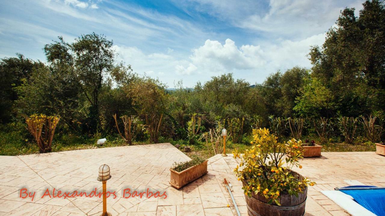 Bourikos House Corfu Apartment Ano Korakiana Ngoại thất bức ảnh