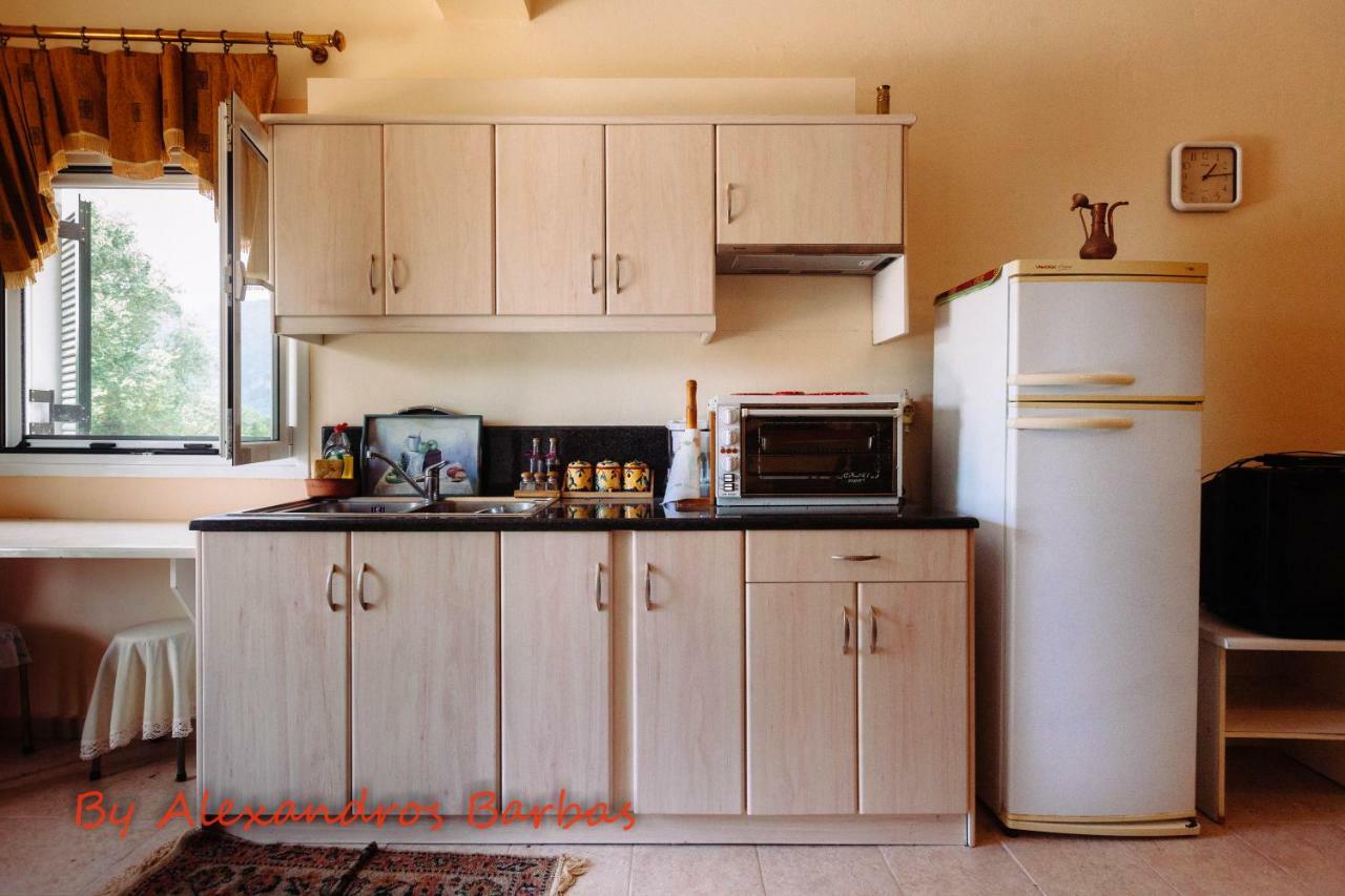 Bourikos House Corfu Apartment Ano Korakiana Ngoại thất bức ảnh